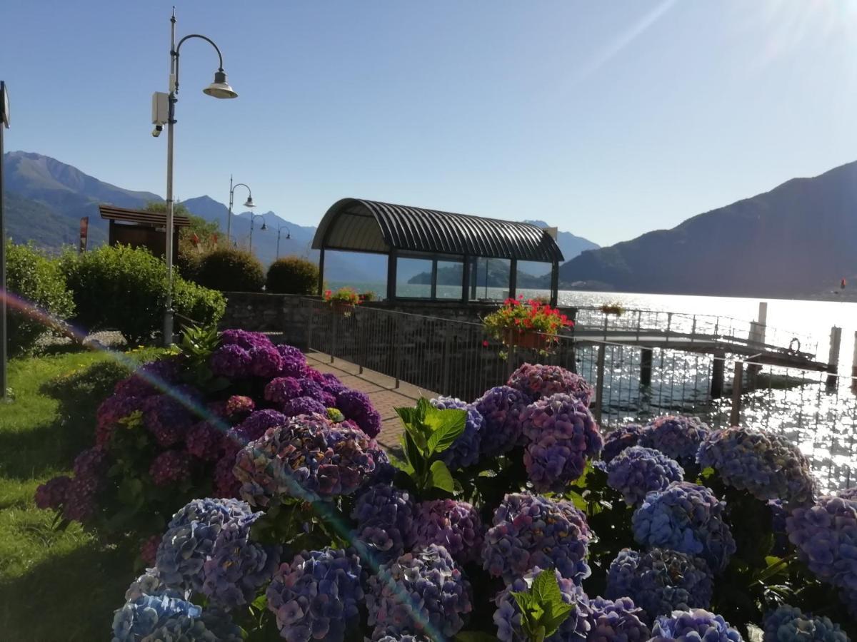 Viewtiful Homestay Stazzona Exterior photo
